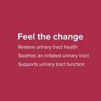 Vibrant Health, U.T. Vibrance Stick Packs, Crisis Intervention for Urinary Tract Health, 10 Servings