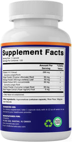 Vitamatic Turmeric Curcumin 10:1 Extract 290 mg – Plant-Based Botanical Extract with Black Pepper 5mg, Ginger 50mg & Moringa 500 mg – Vegetarian, Non-GMO, Gluten-Free – 120 Capsules
