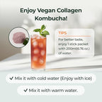 PLANT Vegan Collagen Peptide, Kombucha Powder, Probioitics, Vitamin C | 2000mg Tripeptide Vegetarian Collagen Booster, Dragonfruit Lime |15 Packets, Gut & Skin Health Anti-Aging Hydration Drink Mix