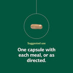 Standard Process Multizyme - Pancreatic Enzyme Supplement to Support the Breakdown of Proteins, Carbohydrates & Fats - Digestive Support - Gluten-Free, Non-Dairy & Non-Soy - 150 Capsules