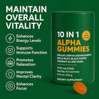 10-in-1 True Alpha Shilajit Gummies, 4000mg Himalayan Alpha Gummies for Men, Energy Boost, Immune Support, with Ashwagandha, Maca Root, Tongkat Ali, Fulvic Acid, 85+Trace Mineral, No Added Sugar, 60ct