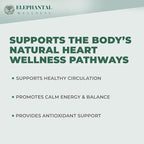 Elephantal Wellness Heart Herbal Tea – Herbal Loose Leaf Tea for Circulation & Cardiovascular Support with Hawthorn, Cinnamon, Ginger & Turmeric – Lightly Caffeinated Green Tea Blend, 2oz, 20 Servings