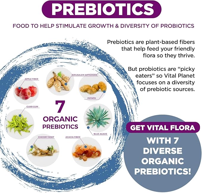 Vital Planet - Vital Flora Probiotics for Women Over 55 Daily Shelf Stable Probiotic 60 Billion CFU, 60 Diverse Strains, 7 Organic Prebiotics, Immune Support and Digestive Health 30 Capsules