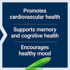 Life Extension Healthy Aging Powder, Healthy Aging Supplement, Heart Health, Brain Health, Exercise Performance, Taurine, Lithium, spermidine, Powder Blend, Non-GMO, Vegetarian, 30 Servings