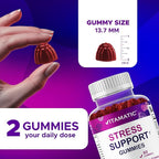 Vitamatic Stress Relief Gummies with GABA, L-Theanine, Lemon Balm – Lemon & Mixed Berry Flavor – 60 Gummies – Vegan, Non-GMO, Gluten-Free