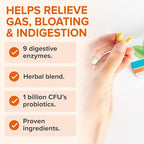 Zenwise Health No Bloat Probiotics for Women and Men Digestive Health with Ginger, Dandelion, and Lactase, Digestive Enzymes for Gas and Bloating Relief - Vegan Water Retention Pills - 14 CT