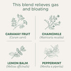 Traditional Medicinals Tea, Organic Gas Relief - Relieves Gas & Bloating, Chamomile Mint - Kosher, Non-GMO, Caffeine-Free - 16 Tea Bags