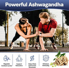 25-in-1 Sea Moss Black Seed Oil Ashwagandha Ginger Shilajit Supplement, Sea Moss Capsules Pro with Bladder Burdock Ceylon Cinnamon Berberine ACV Manuka VIT C & D3 for Men Women, 120 Vegan Caps