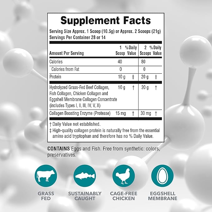 NaturesPlus Collagen Peptides - 0.65 lbs Powder, Pack of 2 - Hair, Skin, Nail & Joint Health, Immune System Support - Non-GMO, Gluten Free - Up to 56 Total Servings