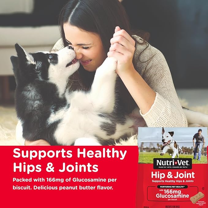 Nutri-Vet Hip & Joint Biscuits, Dog Joint Supplement, Dog Treat, Small Sized Biscuit with 166mg Glucosamine, Puppy Supplements, Tasty Glucosamine Treat, Puppy Essentials, 16 oz (Pack of 2)