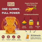 Sapotax Korean Red Panax Ginseng Supplement Gummies - Iron Supplements for Women & Men - Iron Gummies with Vitamin C, B6, B12, Potassium & Magnesium, Vegan - 90 Count