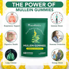 flasture Mullein Gummies for Lungs & Sinus Relief, 2000mg Mullein Leaf Extract, Natural Lung Cleanse Supplement for Smokers, Supports Respiratory, Immune & Mucus Relief – 60 Chewable Gummies