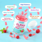 MEENCCD 2 Pack Alpha Lipoic Acid Gummies 600mg - ALA Supplement for Antioxidant Support, Vegan, Sugar-Free, Raspberry Flavor, 120 Count