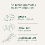 Traditional Medicinals Organic Lemon Ginger Tea, 1.13 Oz, 16 Count (Pack of 2)
