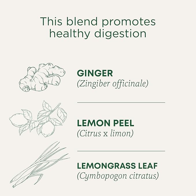 Traditional Medicinals Organic Lemon Ginger Tea, 1.13 Oz, 16 Count (Pack of 2)