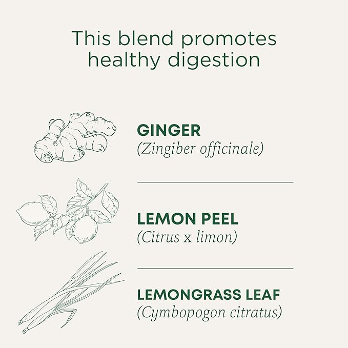 Traditional Medicinals Organic Lemon Ginger Tea, 1.13 Oz, 16 Count