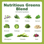 Greens Daily Gummies, Superfood Fruits and Veggies Blend with Spirulina, Chlorella, Prebiotics & Fiber, Adaptogens Multivitamin Supplement for Digestive Health, Non-GMO, 120 Count
