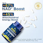 NAD+ Supplement with 500mg NR, Resveratrol, CoQ10, PQQ- 5-in-1 NAD Formula |NMN Supplement Alternative|NAD Resveratrol Support Cellular Energy & Healthy Aging-Made in USA-60 Capsules