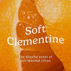 Niches & Nooks Gentle Nooks Cleanser – Soft Clementine – pH Balanced Feminine Wash for Women, Daily Intimate Cleanser, Odor Control, Sensitive Skin Safe – 7 oz