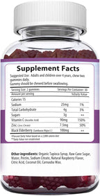 HERBION Elderberry Gummies with Vitamin C & Zinc, Healthy Immune System Support, Gluten-Free & Gelatin-Free, 60 Gummies for Adults & Children 4 Years & Above, Made in USA, Pack of 2