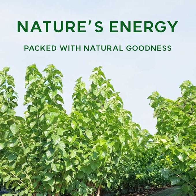 Korean Mulberry Leaf Powder– 100% Pure Dried from Korea, Herbal Ingredient for Tea, Natural Plant-Based Powder 뽕잎가루 (10.6 oz (300g), Mulberry Leaf)