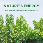 Korean Mulberry Leaf Powder– 100% Pure Dried from Korea, Herbal Ingredient for Tea, Natural Plant-Based Powder 뽕잎가루 (10.6 oz (300g), Mulberry Leaf)