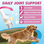 Collagen for Dogs Joint Health, Grass-fed Dog Collagen Drops with Omega 3, Vitamin C for Skin & Coat, Dog Hip and Joint Supplement with Glucosamine, Chondroitin, Hyaluronic Acid-Bone, Immune-2 Fl