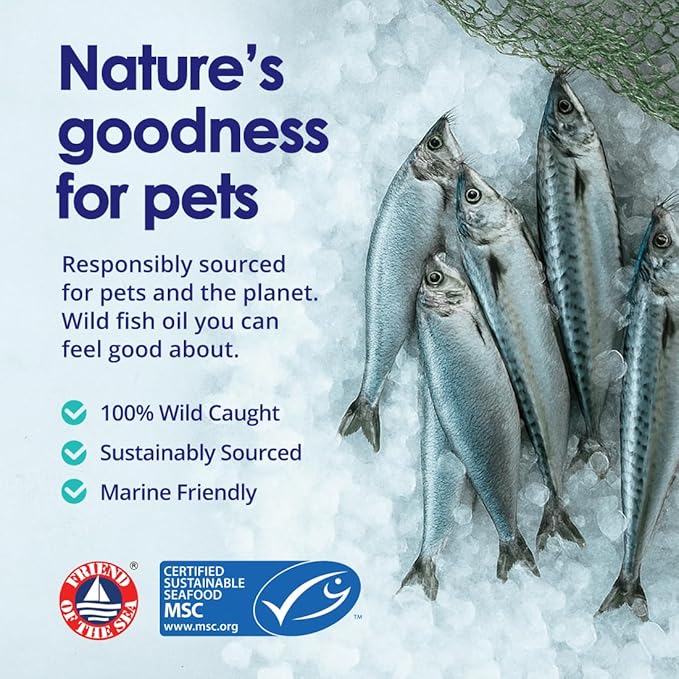 Liquid Fish Oil for Dogs with Omega 3, 6 & 9 Fatty Acids, Wild Caught from Iceland, Skin and Coat Supplement for Shedding, Itchy Skin, Allergies, Brain and Heart Health, Rich in EPA + DHA - 16 oz