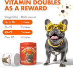 Allergy Relief Chews for Dogs & Immune & Digestive Supplement with Wild Salmon Oil Kelp Colostrum Turmeric Probiotics & Bee Pollen for Seasonal Allergies Anti Itch, Skin Hot Spots 120 Soft Treats