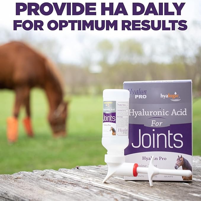 Hyalogic Hyalun Pro 30 - Hyaluronic Acid Joint Support Supplement for Horses – Horse Care Solution with Easy-to-Use Oral Dispenser – Supports Healthy Joints & Cartilage - 30-Day Supply (3oz / 90ml)