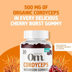 OM MUSHROOM SUPERFOOD Cordyceps Gummies – USA Grown Organic Mushrooms – Supports Endurance, Energy & Recovery – Cherry Burst Flavour – 30 Servings, 60 Count.