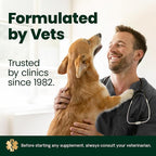 VetriScience Extra Strength Healthy Hip & Joint-Chews, GlycoFlex Glucosamine & Green-Lipped Mussel Joint Support Supplement for Small Breed Dogs,Soothe Joint Discomfort,Chicken 60 Count(Pack of 2)