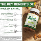 NEVISS Mullein Gummies for Lungs, Organic Mullein Leaf Extract 1000mg for Respiratory System with Quercetin & Bromelain, D3 for Digestive Support, Immune Booster, Sugar Free, Vegan, 120 Count