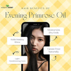 Evening Primrose Oil USDA Certified Organic/Natural/Undiluted/Unrefined/Cold Pressed Carrier Oil. Rejuvenate and moisturize The Skin and Hair