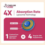 Liposomal DIM SGS Supplement - Estrogen Supplements for Women & Men Contains Sulforaphane Glucosinolate, Vitamin E, Pomegranate Fruit - Support Detox and Antioxidant (1 Pack)