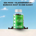 Vitamatic Irish Sea Moss Gummies with Bladderwrack & Burdock Root – Botanical Extract Supplement – Vegan, Non-GMO – 60 Count - 2 Pack (120 Count)