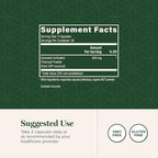 Global Healing Center - Ozonated Activated Charcoal Powder - Advanced Digestive Detox that Adsorbs Internal Unwanted Compounds - Helps Relieve Occasional Gas Discomfort - 60 Activated Charcoal Pills