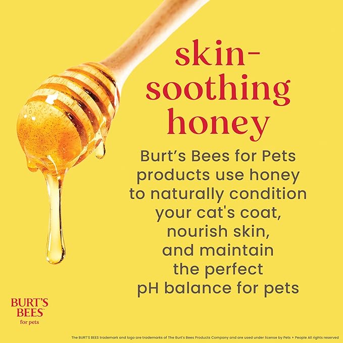 Burt's Bees for Pets Kitten Grooming Wipes with Buttermilk and Honey, Waterless Cat Bath Wipes for Face, Paws, Tail and Coat Cleaning, Gentle Bath Alternative for Indoor Felines, 50 Count - 6 Pack
