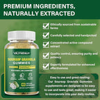 Soursop Graviola Gummies - 2000mg Extra Strength Soursop Leaves Extract, Vitamin C, Zinc & Whole Natural Food for Immunity, Vegan, 60 Gummies