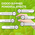 Super Greens Fiber Gummies Multivitamin Superfood Gummy with Spirulina Chlorella Prebiotic Probiotic Postbiotic for Digestive Health Supplement 15 Packs 120 Gummies