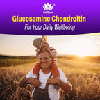 Glucosamine Chondroitin Gummies, Sugar Free Glucosamine Chondroitin MSM Supplement, Extra Strength with Boswellia Turmeric, Hydrolyzed Collagen & Hyaluronic Acid, Bone Health for Men & Women, 120 Cts