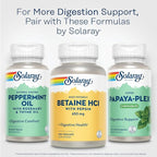 Solaray High Potency Betaine HCL with Pepsin - Hydrochloric Acid Supplement for Digestive Health - with Betaine Hydrochloride and Digestive Enzymes - Gut Health Support - 60-Day Guarantee, 100 VegCaps