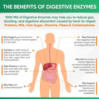 Wholesome Wellness Digestive Enzymes 1000MG Plus Prebiotics & Probiotics Supplement, 180 Capsules, Organic Plant-Based Vegan Formula for Digestion & Lactose with Amylase & Bromelain,3-6 Months Supply