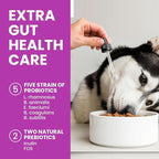Collagen Drops for Dogs – 4oz Liquid Support for Healthy Joints and Coat Condition