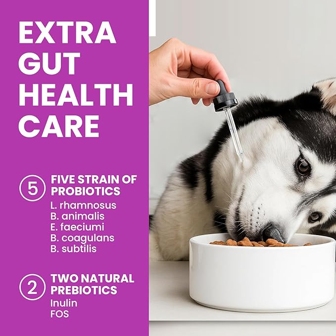 Collagen Drops for Dogs – 4oz Liquid Support for Healthy Joints and Coat Condition