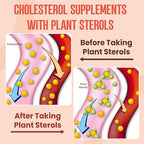 Cholesterol Supplement with Plant Sterols & Stanols, Guggul, Bergamot Orange Extract, Red Yeast Rice, Cholesterol Complex Gummies, Mixed Berry Flavor, 120 Counts