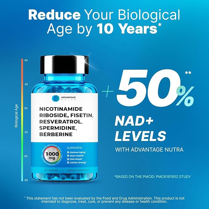 Liposomal Nicotinamide Riboside NR Supplement Resveratrol NAD : Nicotinamide 500mg w/Fisetin, Resveratrol Powder Spermidine Berberine NAD Resveratrol Supplement 500 mg - 60 caps 2 Pack