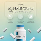 HMB and Vitamin D3 Supplement, 1,500mg Patented Formula with Clinical Dose, Preserve Lean Muscle with Ageless Performance, Beta-Hydroxy Beta-Methylbutyrate Capsules, 120 Count