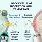 Spectrum 5 Magnesium Complex for Women & Men | Patented Aqua-Ionic® 5X Absorption Technology | 500mg Glycinate, Citrate, Malate + 72 Trace Minerals | Deep Sleep, Leg Cramp Relief & Calm | Non-Laxative