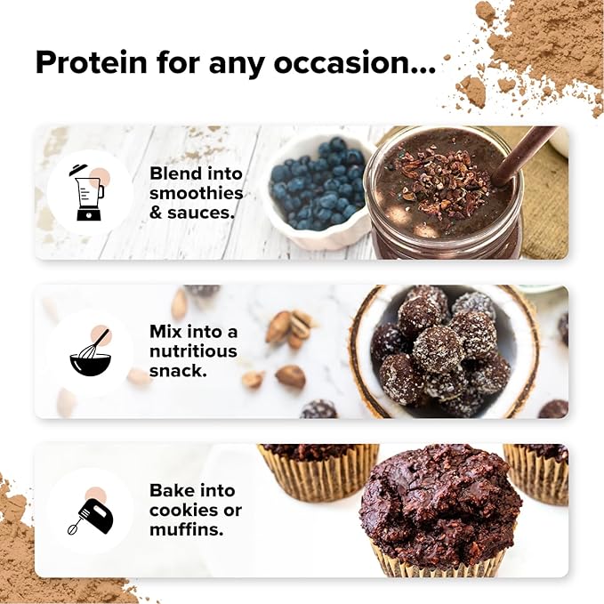 Complement Vegan Chocolate Protein Powder - Organic Protein Low Carb, Low Calorie, Sugar Free, Soy Free, Non-GMO, Gluten Free - 15g Yellow Pea, Pumpkin Seed Protein Powder (1 Serving)